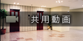 共用動画